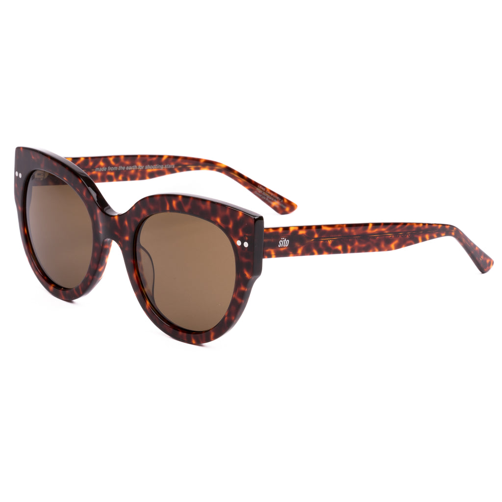 Sunglasses with tortoiseshell frame and brown lenses on a white background