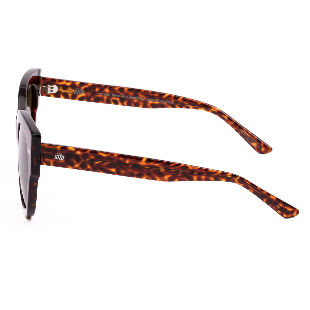Sunglasses with tortoiseshell frame and brown lenses on a white background