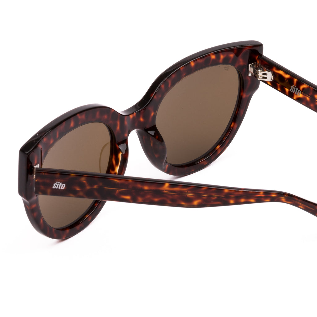 Sunglasses with tortoiseshell frame and brown lenses on a white background