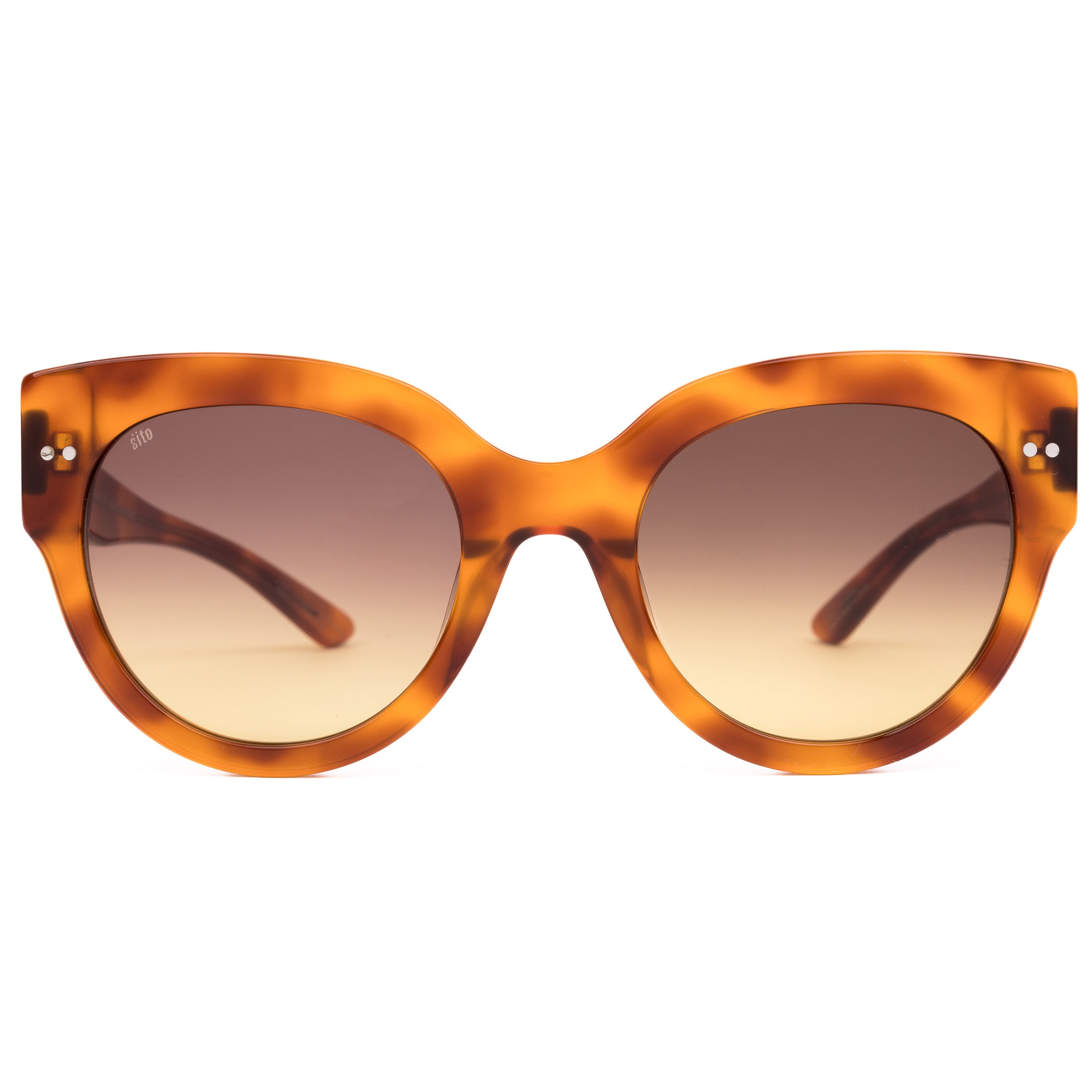 Tortoiseshell sunglasses with gradient lenses on a white background