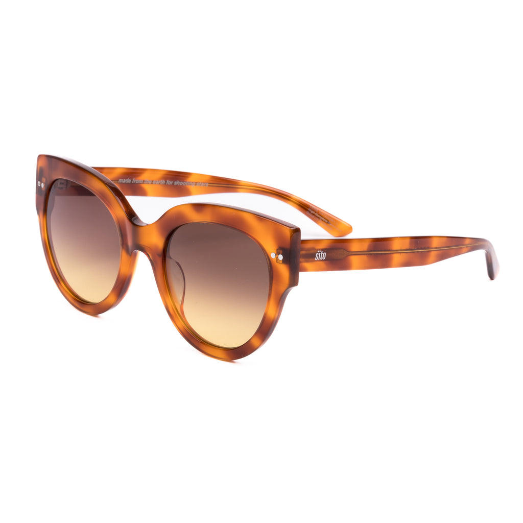 Tortoiseshell sunglasses with gradient lenses on a white background