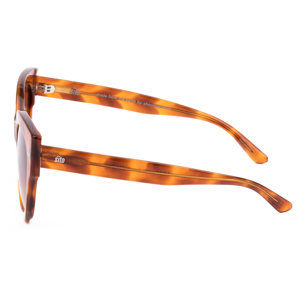 Tortoiseshell sunglasses with gradient lenses on a white background