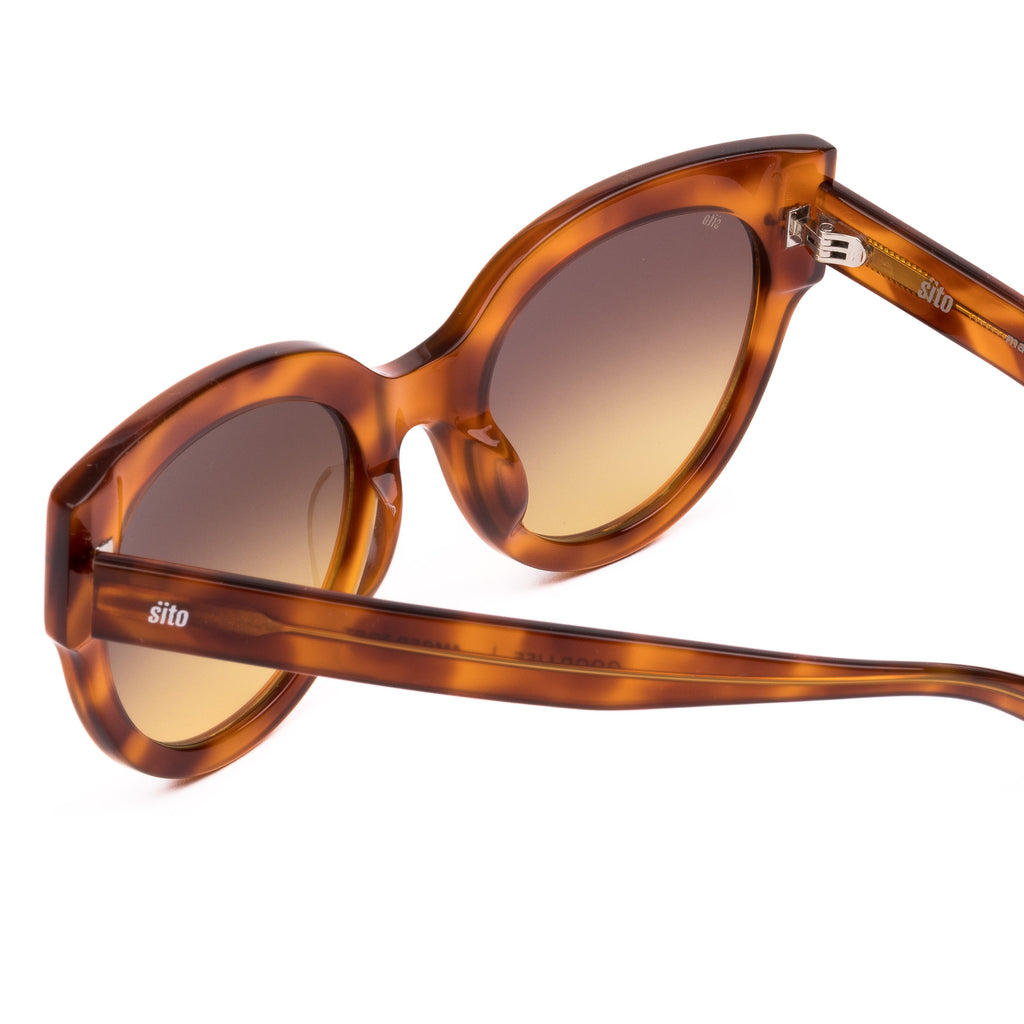Tortoiseshell sunglasses with gradient lenses on a white background