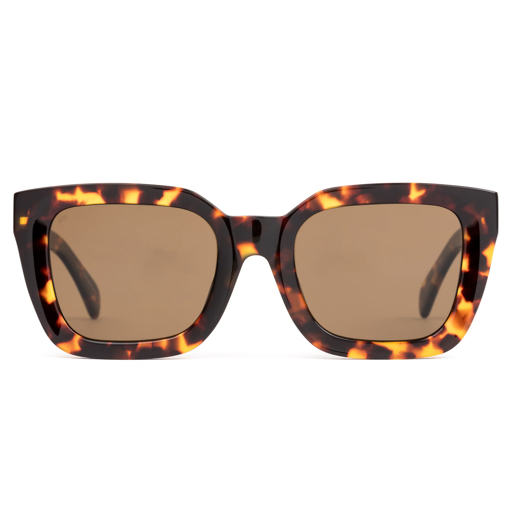 Sunglasses with tortoiseshell frame and brown lenses on a white background