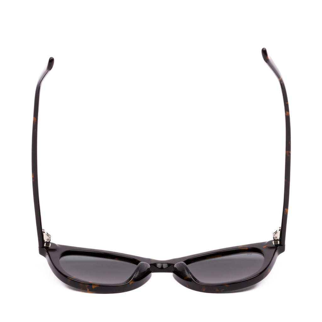 Sito Shades Now Or Never - Havana - Iron Grey Polar