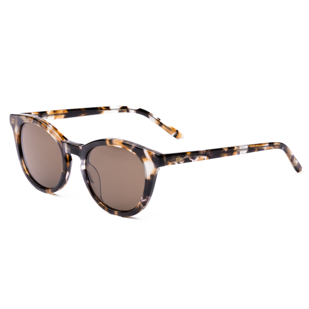 Sunglasses with tortoiseshell frame and brown lenses on a white background