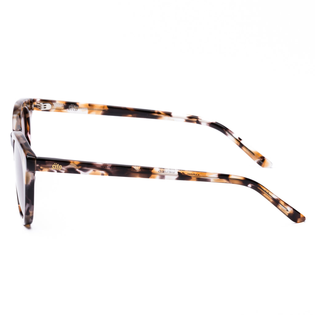 Sunglasses with tortoiseshell frame and brown lenses on a white background