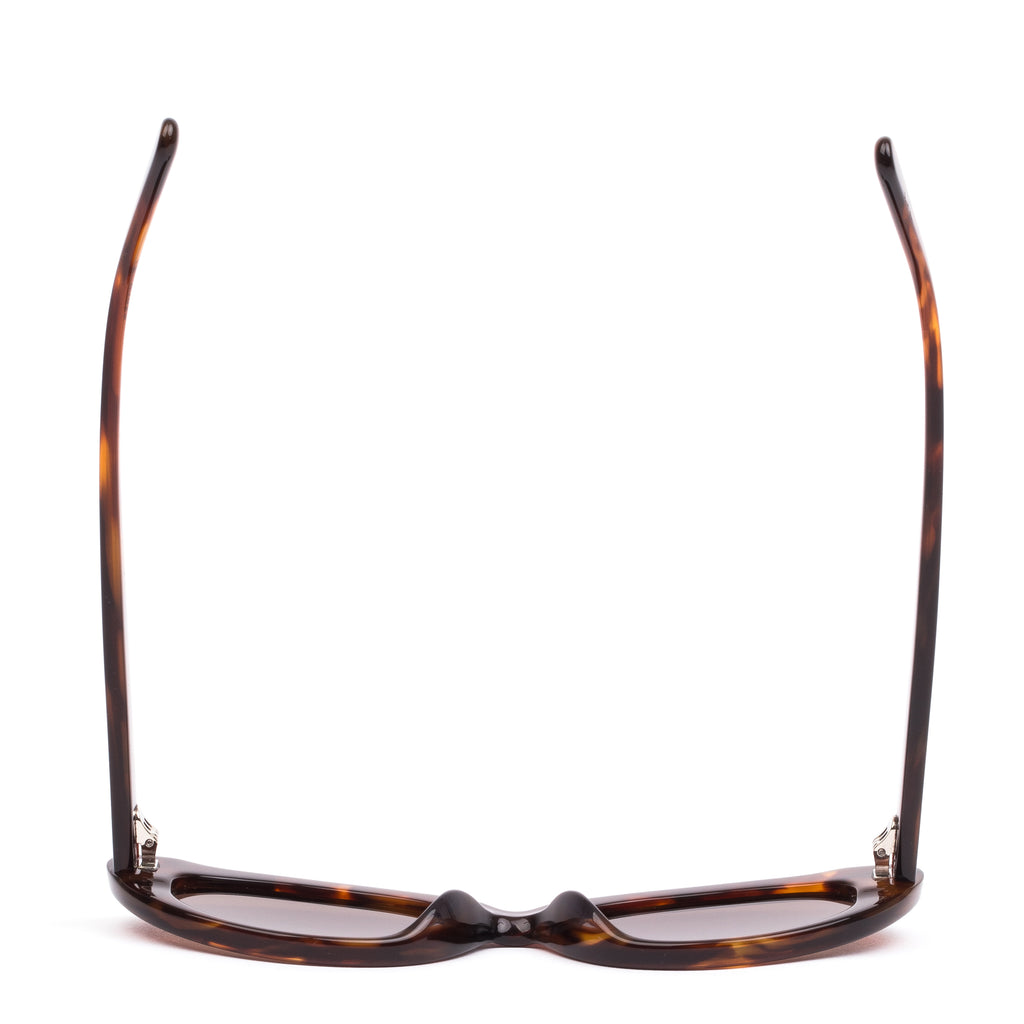 Sito Shades Siena - Burnt Orange Tort - Coffee