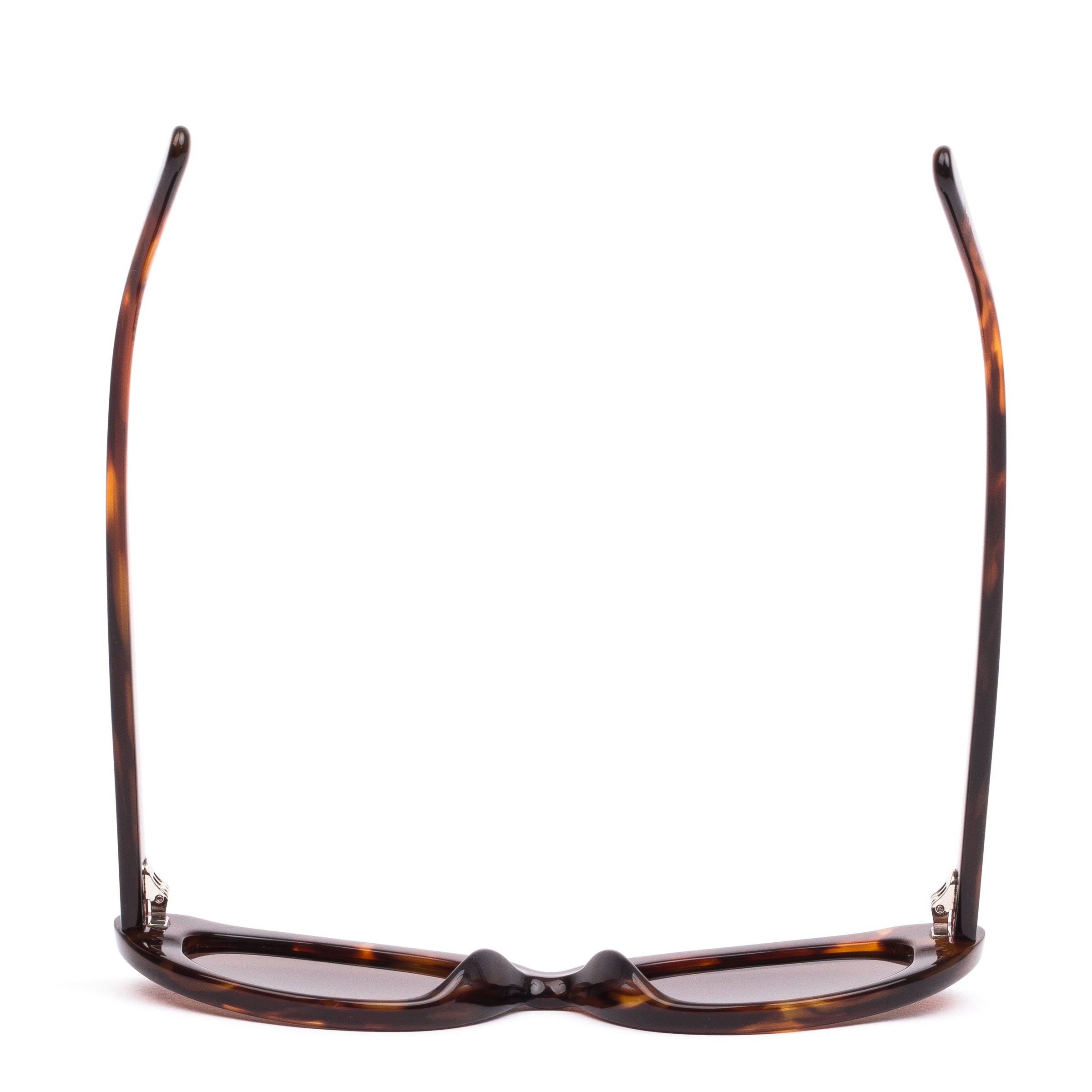 Sito Shades Siena - Burnt Orange Tort - Coffee
